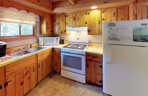 Gaines Cabin | Rough Cut Lodge - Birch Cabin