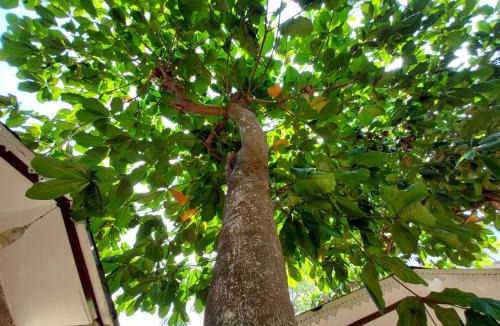 Diveagar Resort | Royal Beach Resort