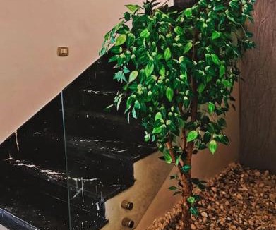 Sheikh Zayed City Apartment | Royal Elegance Room