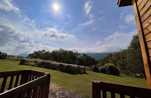 Southern Cabin | Rudy’s roost Rental Cabin - near Back of the Dragon Route 16