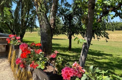 Saint-Sulpice-d'Excideuil Other | Ruime caravan met prive sanitair, laadpaal en vast bed