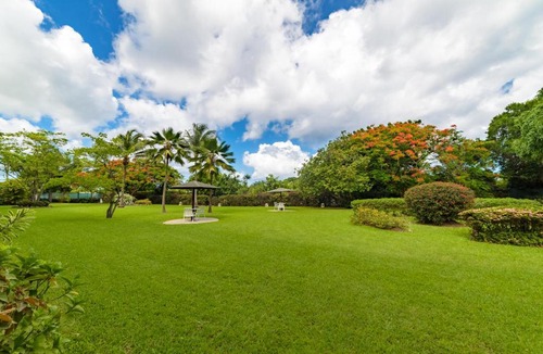 Sunset Crest Apartment | Rum Runner - Golden View 328