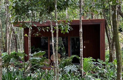Duc Trong Cabin | Rung Thong Nui Voi Villa & Resort
