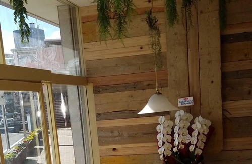 Fuji Hostel | Running Bare Fuji - Hostel