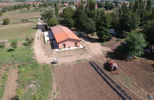 Atella House | Rupe delle sorbe