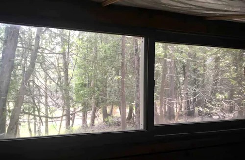 Markdale Cabin | Rural Cabin Surrounded by Beautiful Nature in Ontario