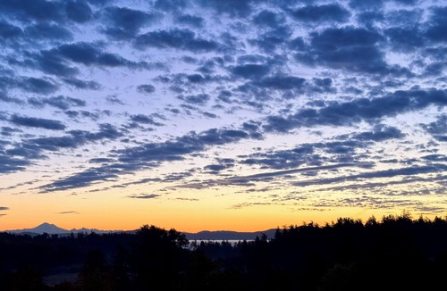 Saanich Apartment | Rural suite with spectacular, sunrise and agricultural views. Pet Friendly!