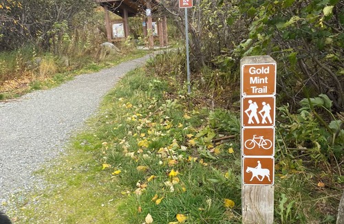 Fishhook Cabin | Rustic and cozy cabin with all new amenities near beautiful Hatcher’s Pass