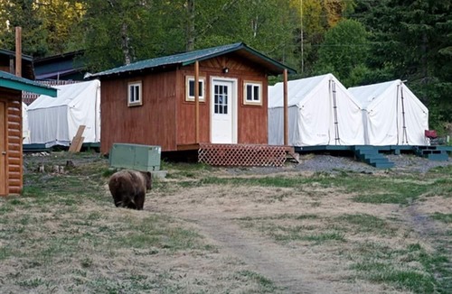 Cooper Landing Cabin | Rustic and Cozy Cabin Rental with Bunk Beds near Kenai Lake, Alaska
