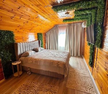 Baia-Sprie House | Rustic Baia Sprie