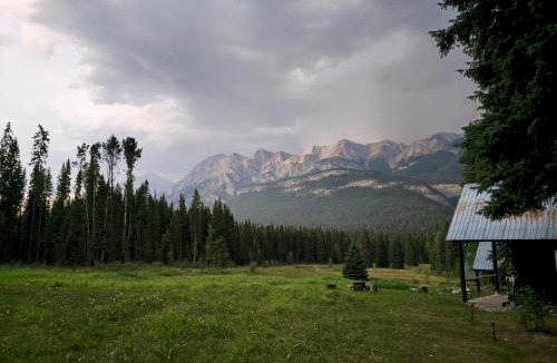 Golden Hotel | Rustic Beaverfoot Lodge Room N10