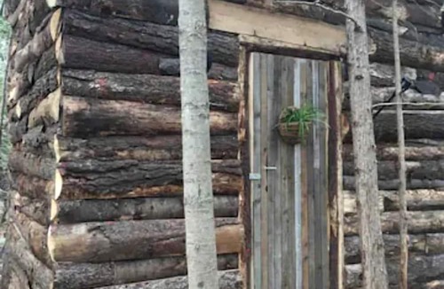 Markdale Cabin | Rustic Cabin Incredible for Hiking and Outdoor Lovers in Ontario