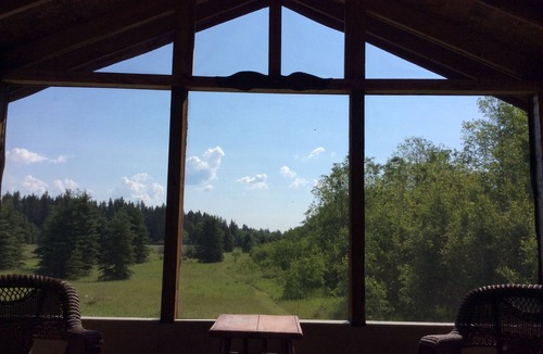 Erickson Cottage | Rustic cabin near RMNP with screened-in deck, meadow view, and wood stove