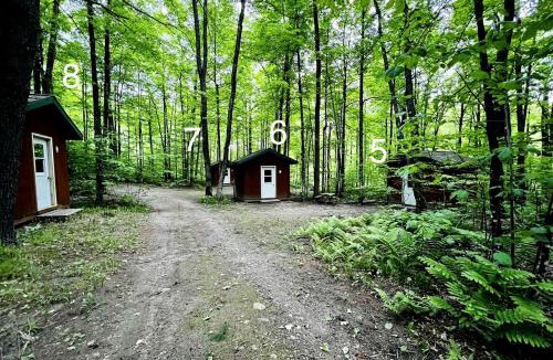 White Lake House | Rustic Cabin Nestled in the Trees for a Unique Outdoor Experience in White Lake, Wisconsin
