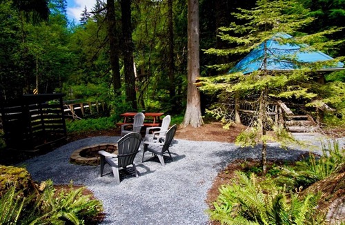 Ashford Cabin | Rustic cabin, nestled in the trees, less than a mile to Mt. Rainier entrance.