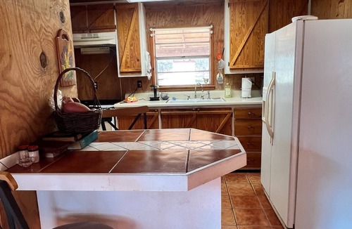 Noble Cottage | Rustic & Cozy Home with Workspace on 9 acres of Forest