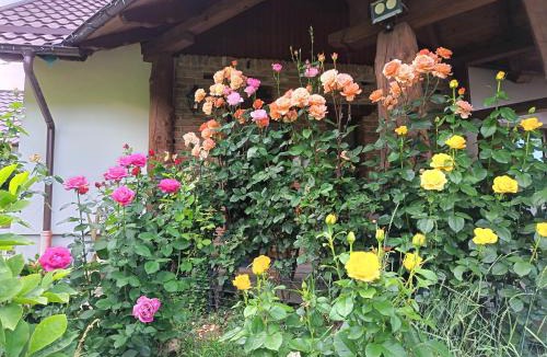 Borosneu Mare House | Rustic Dreams-Dobolii de Sus