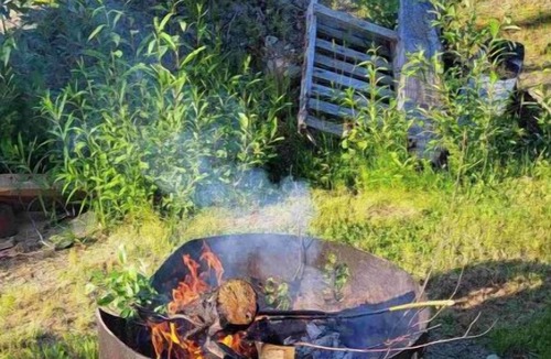 Willow Cabin | Rustic dry Cabin on Nancy Lake! True Alaskan Experience with Outhouse!