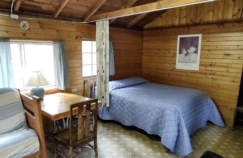 Bellvue House | Rustic Glamping Cabin near Poudre River, Perfect for a Weekend of Fishing and Watching Wildlife