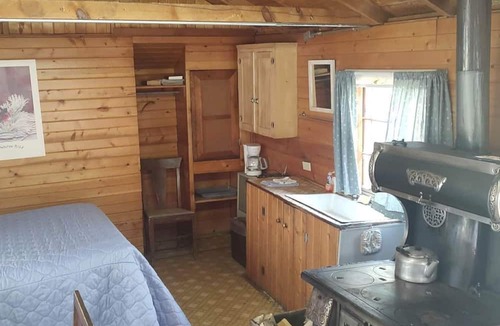Bellvue House | Rustic Glamping Cabin near Poudre River, Perfect for a Weekend of Fishing and Watching Wildlife