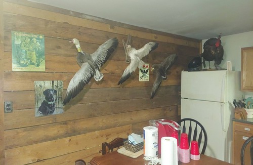 Mardela Springs Cabin | Rustic Log Cabin 1050SF Fishing and Hunting
