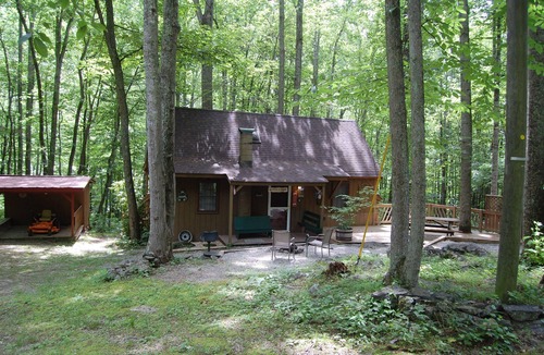 Tyro Cabin | Rustic Mountain Retreat-Bear Paw