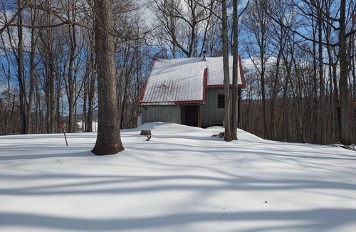 Millboro Springs Cabin | Rustic mountain retreat in beautiful Millboro - enjoy the solitude of the woods.