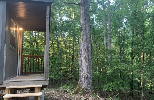 Lexington Cabin | Rustic Primitive Cabin near Athens GA!