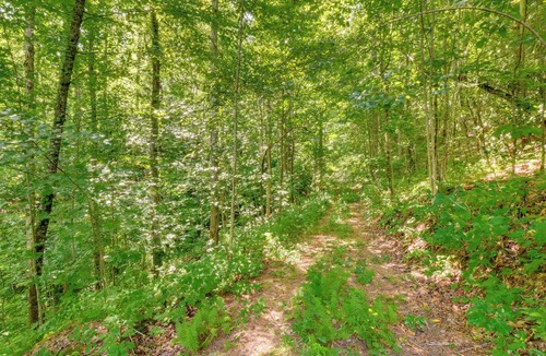 Rabun Gap Cabin | Rustic Rabun Gap Cabin ~ 2 Mi to Dtwn Clayton!