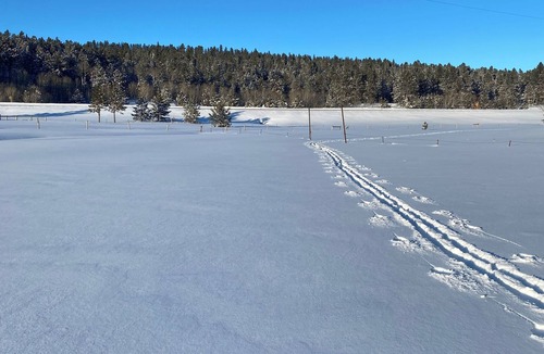 Weston County Cabin | Rustic Small Cabin in the Black Hills of Wy. Snowmobile right out the drive!