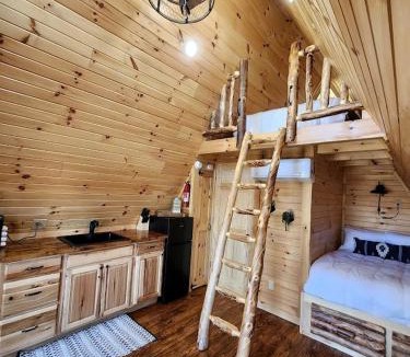 Scio Ski Chalet | Rustic Tree A-Frame with Original Design by Tappan Lake in Ohio