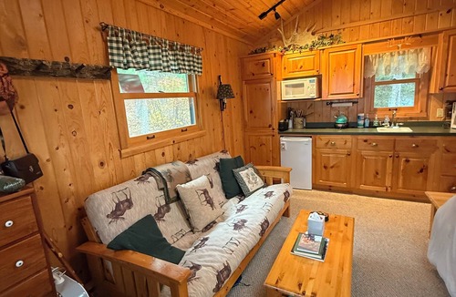 Tower Cabin | Rustic Vibe-Inn Cabin – Lakefront Boat-Access Getaway, Kids & Dogs Welcome