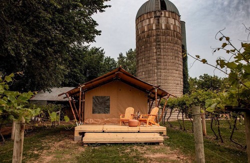 Currie RV Rental | Rustic Vineyard Glamping Tent with Wine Tastings near Lakes and Trails in Currie, Minnesota