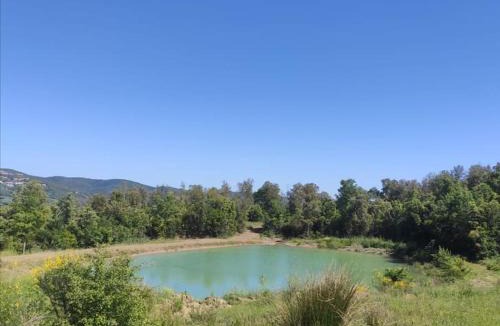 Massa Marittima Apartment | Rustico in un parco di lecci