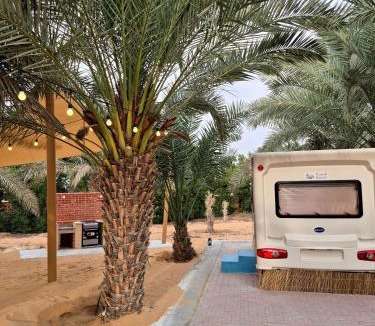 Liwa Other | RV Palm Oasis