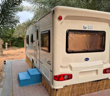 Liwa Other | RV Palm Oasis