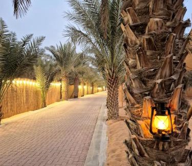 Liwa Other | RV Palm Oasis
