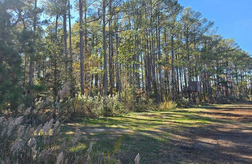 Diggs RV Rental | RV Site On Blanchard Farm -MAX RV LENGTH 24 FT