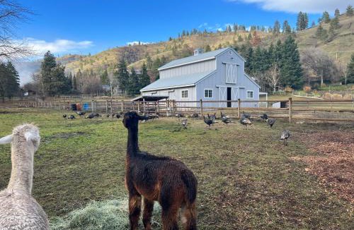 The Dalles House | RV Stays at Handsfull Farm parking site only