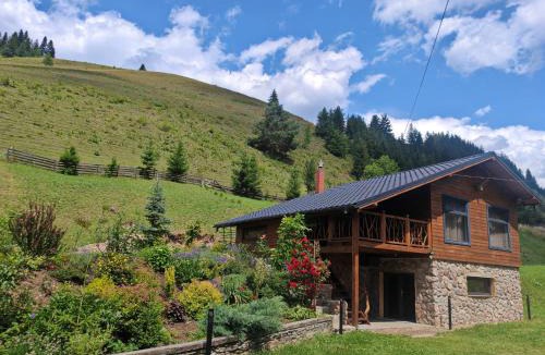 Damuc Ski Chalet | Ryan's Cabin