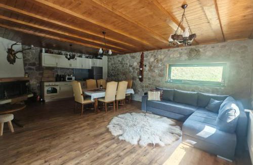 Damuc Ski Chalet | Ryan's Cabin