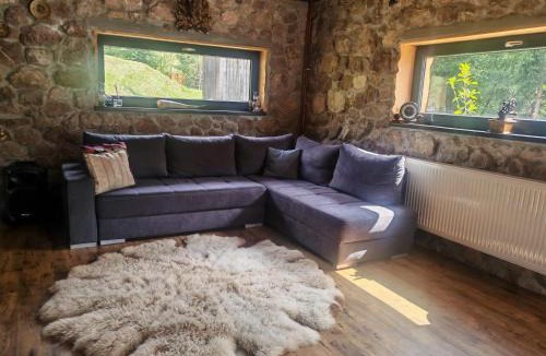 Damuc Ski Chalet | Ryan's Cabin