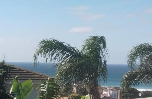 Wavecrest Apartment | Ryans Surf Cabin