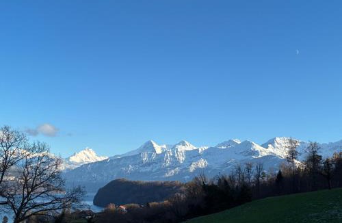 Einigen Ski Chalet | Sérénité Einigen Chalet