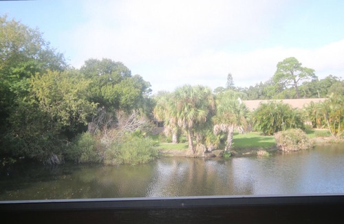 Gulf Gate Estates Condo | s!Great VALUE!Heated Pool!SUMMER SEASON SPECIAL, CLOSE TO SIESTA KEY, Free WiFi!