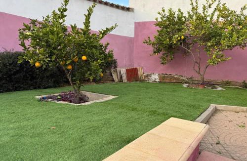 Solarussa House | Sa Domu Arrosada