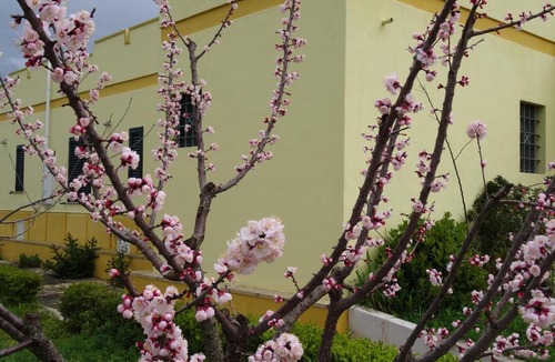 Casarano Apartment | Sabell