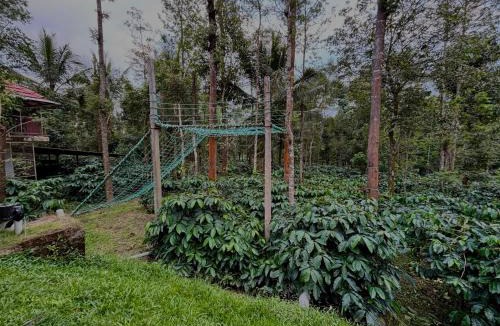 Sakleshpur House | Sabera Heritage Homestay