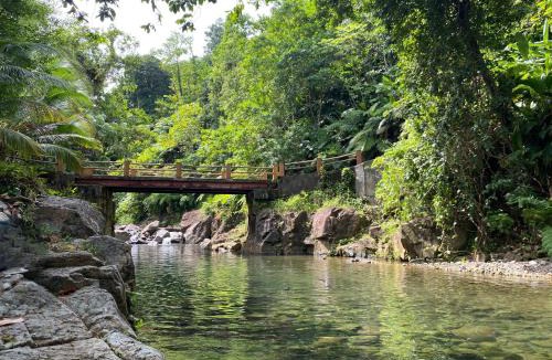 Barroui Resort | Sabifi River Resort