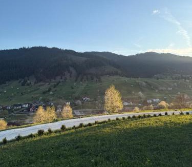 Sadova Cabin | Sadova Loft View